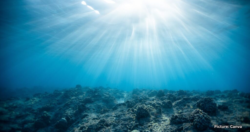 Oceans Worldwide Becoming Darker, Posing Risks to Marine Life