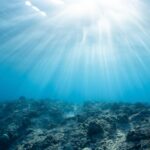 Featured & Cover Oceans Worldwide Becoming Darker Posing Risks to Marine Life