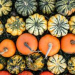 Featured & Cover Pumpkin's Health Benefits Extend Beyond Holiday Celebrations Experts Say