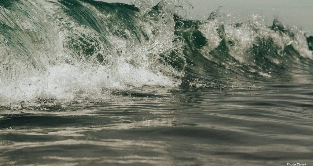 Earth’s Oceans Darkening, Posing Threat to Marine Life Worldwide