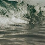 Feature and Cover Earth's Oceans Darkening Posing Threat to Marine Life Worldwide