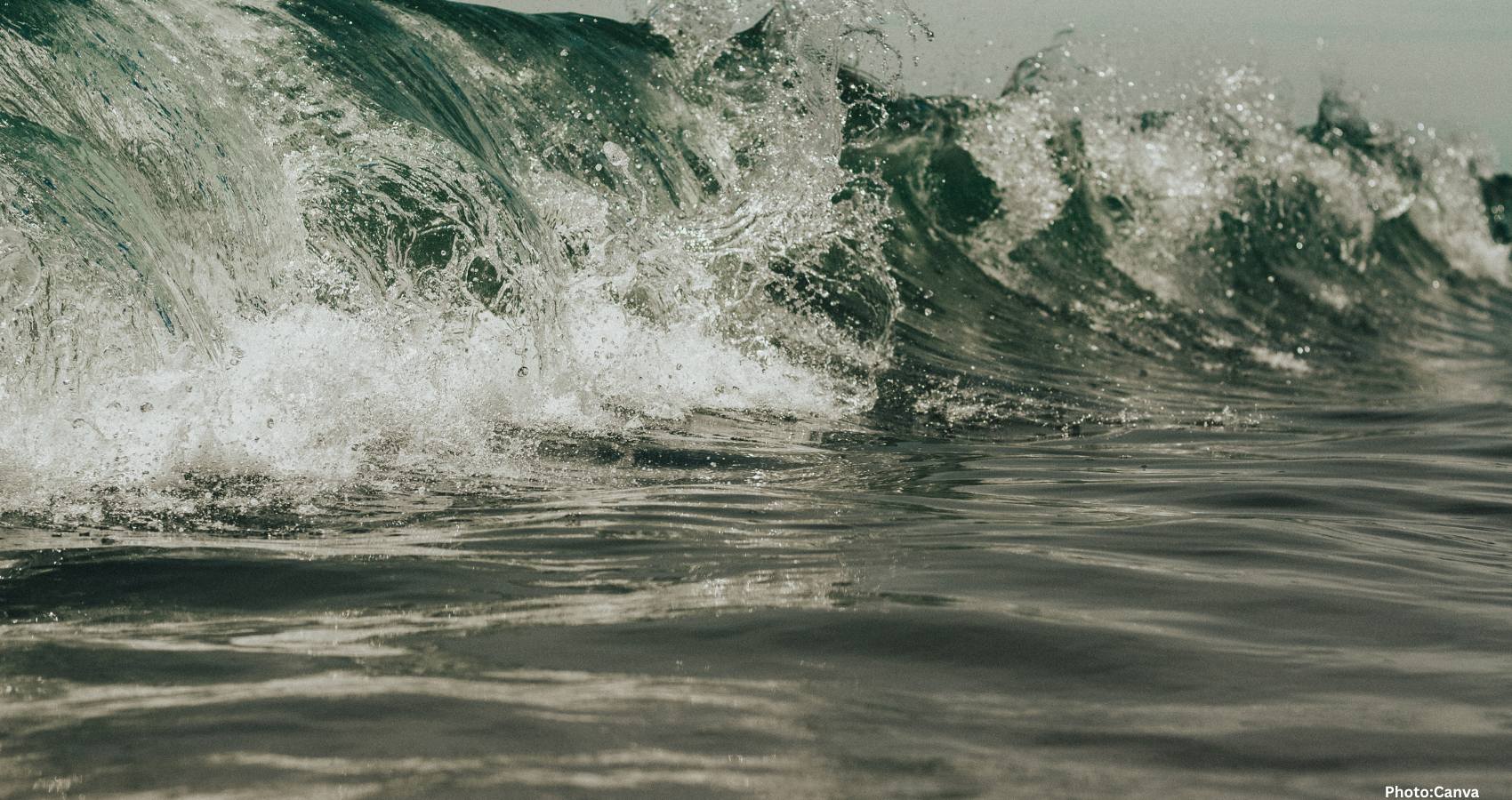 Feature and Cover Earth's Oceans Darkening Posing Threat to Marine Life Worldwide