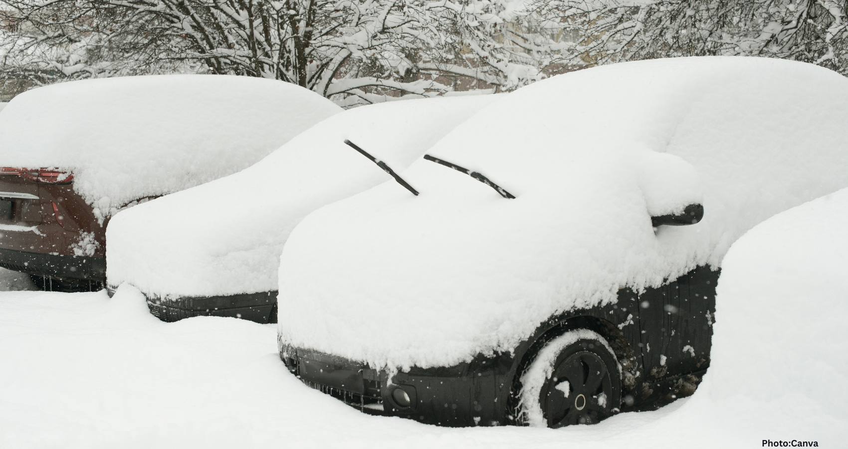 Feature and Cover Heavy Snow Causes School Closures as New York Prepares for Nor'easter
