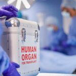 Feature and Cover Michigan Man Dies of Rabies After Receiving Infected Kidney Donation