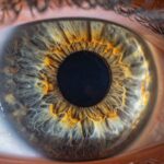 Featured & Cover 3D Printed Cornea Successfully Restores Vision in Groundbreaking Procedure
