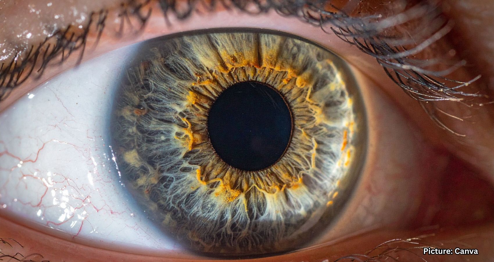 Featured & Cover 3D Printed Cornea Successfully Restores Vision in Groundbreaking Procedure