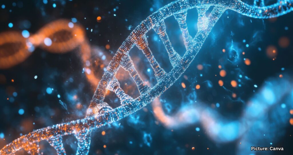 Ancient Plague Mystery Unraveled Through DNA in 4,000-Year-Old Remains