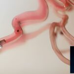 Featured & Cover Computers Developed Using Human Brain Tissue Are We Prepared (1)