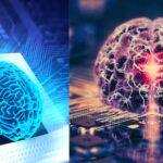 Featured & Cover Computers Developed Using Human Brain Tissue Are We Prepared