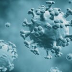 Featured & Cover Flu Outbreak Current Spread of Highly Contagious Variant by State