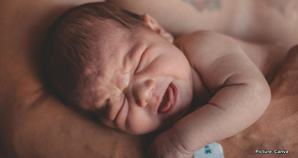 Global Birth Rate Declines Amid Changing Demographics and Economic Factors