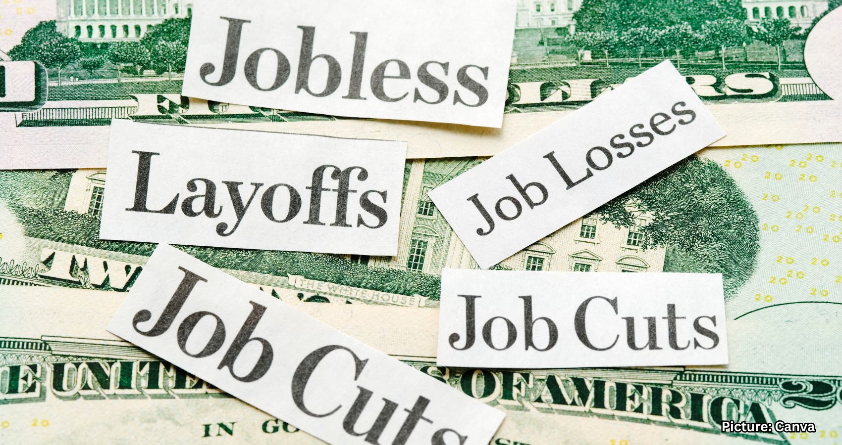 US Labor Market Weakens as Private Firms Cut Over 30,000 Jobs in November