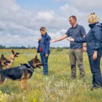 Featured & Cover Virginia Tech Study Finds Dogs Can Detect Invasive Lanternfly Species