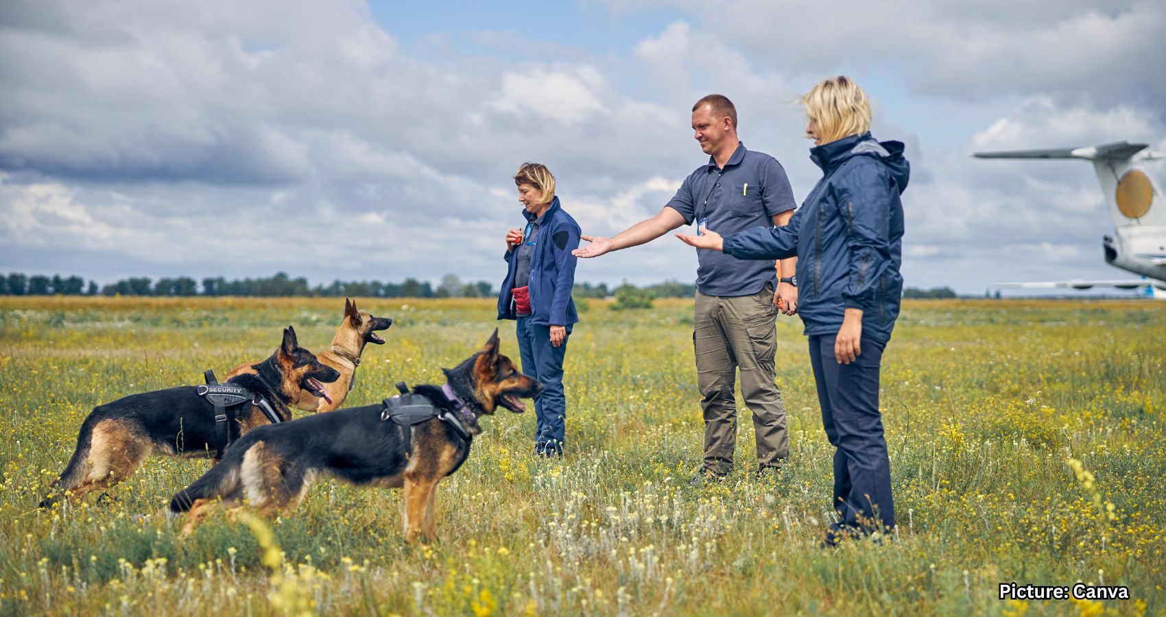 Featured & Cover Virginia Tech Study Finds Dogs Can Detect Invasive Lanternfly Species
