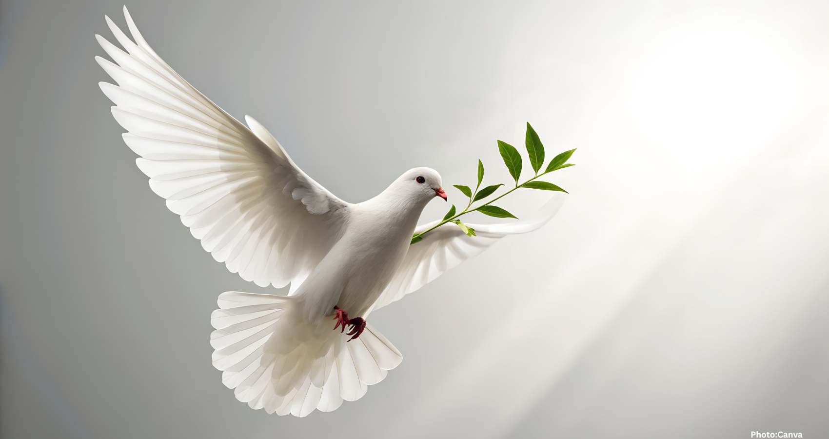 As New Year Begins, Collective Efforts for Peace Continue