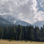 Feature and Cover Pahalgam Incident Shapes New Indian Doctrine on Terrorism