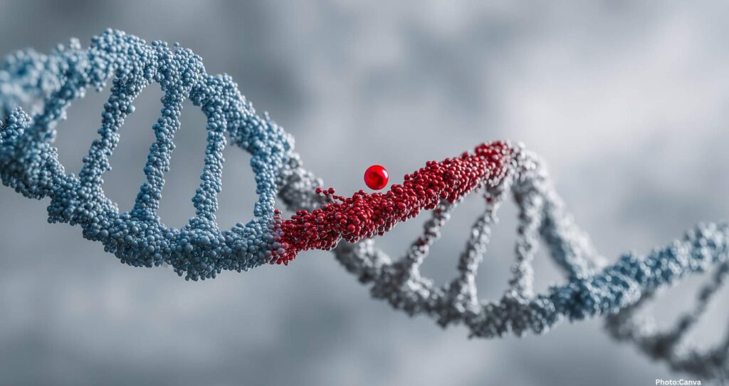 Scientists Identify Gene Associated with the Development of Spoken Language