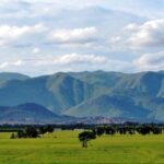 Feature and Cover Tamil Nadu Becomes Key Destination for Companies Shifting from China