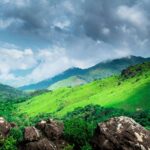 Feature and Cover Which City Holds the Title of 'Coffee Capital of India'