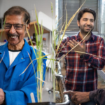 Featured & Cover Indian American Plant Biologists Awarded $500 000 VinFuture Prize for Self Cloning Crops