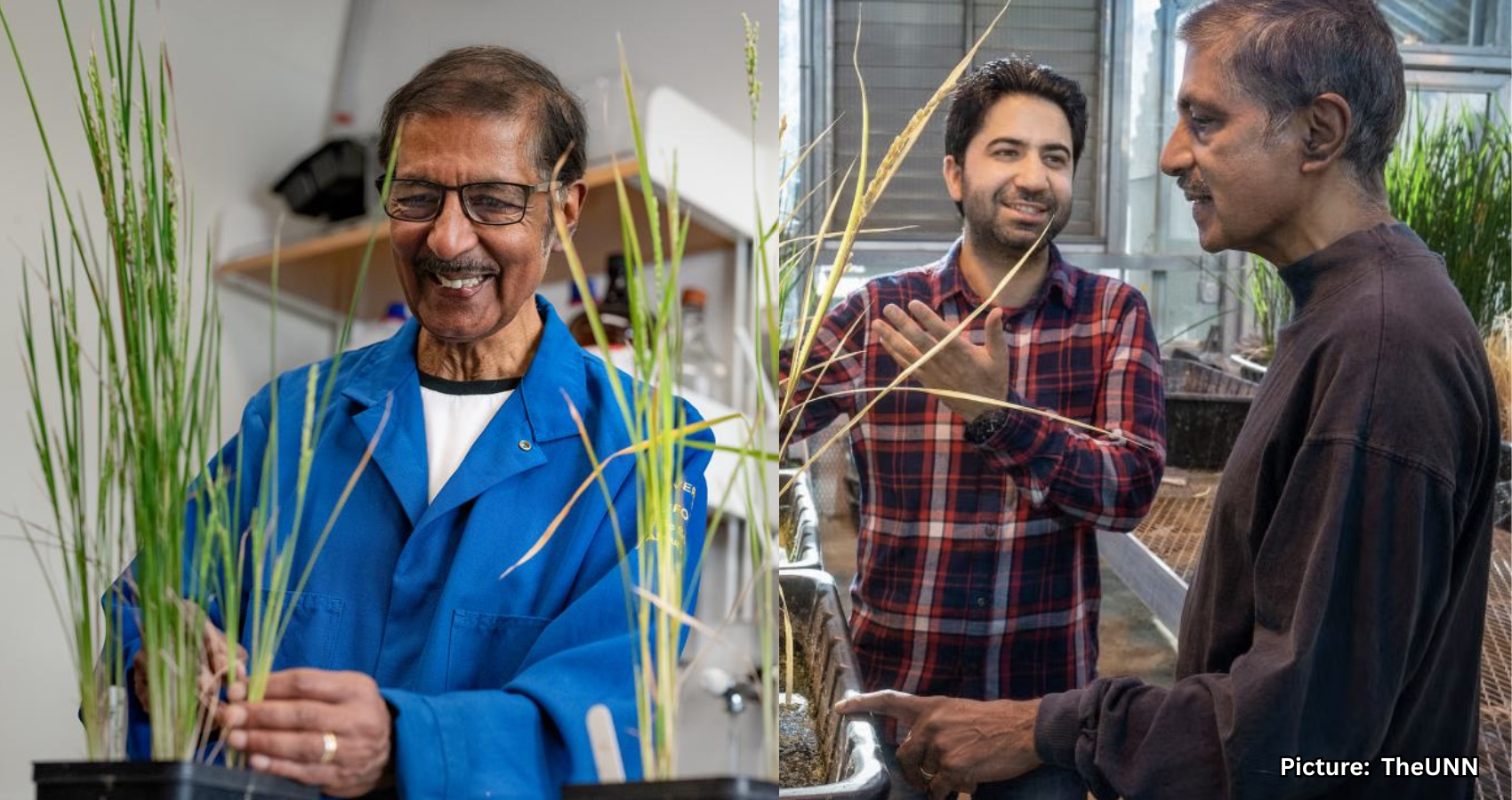 Indian-American Plant Biologists Awarded $500,000 VinFuture Prize for Self-Cloning Crops