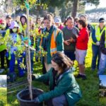 Featured & Cover San Jose Community Commemorates MLK Day with Climate Action Initiatives