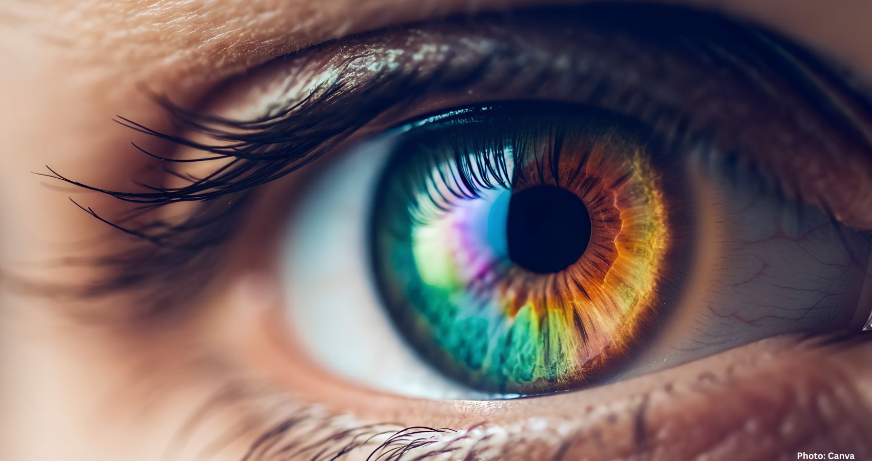 Feature and Cover Common Vision Issue May Cause Missed Cancer Warnings Study Finds