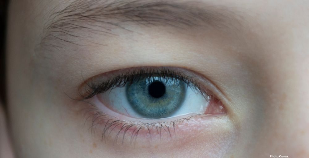 Feature and Cover Common Vision Issues Linked to Home Lighting Choices in America (2)