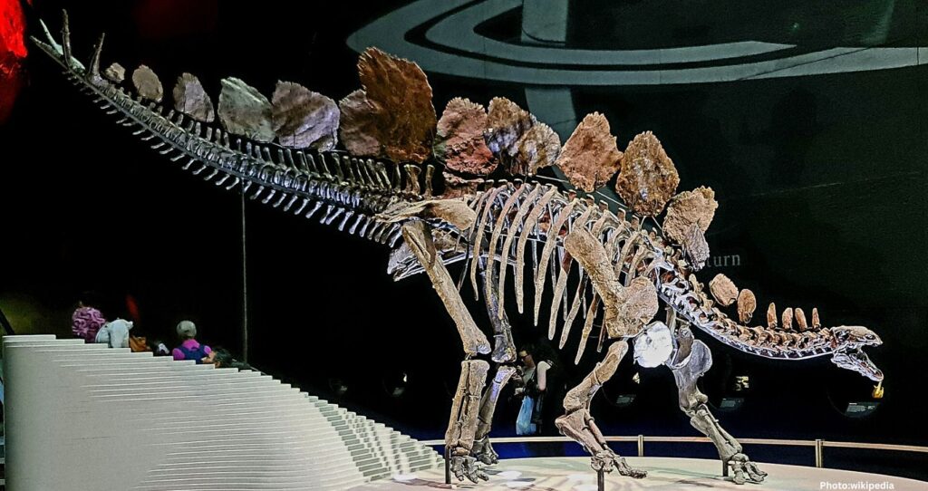 Dinosaur Fossils Discovered During Construction at National Park