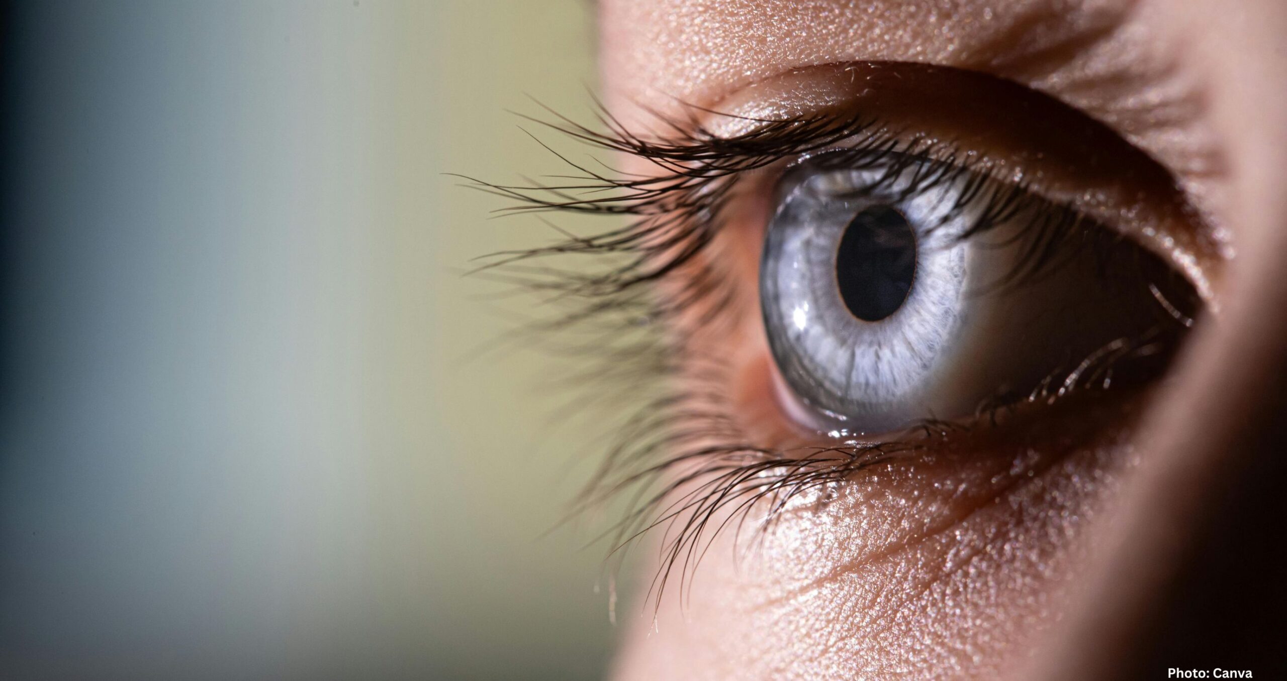 Feature and Cover Posture Driven Retinal Signals May Predict Diabetic Retinopathy Progression