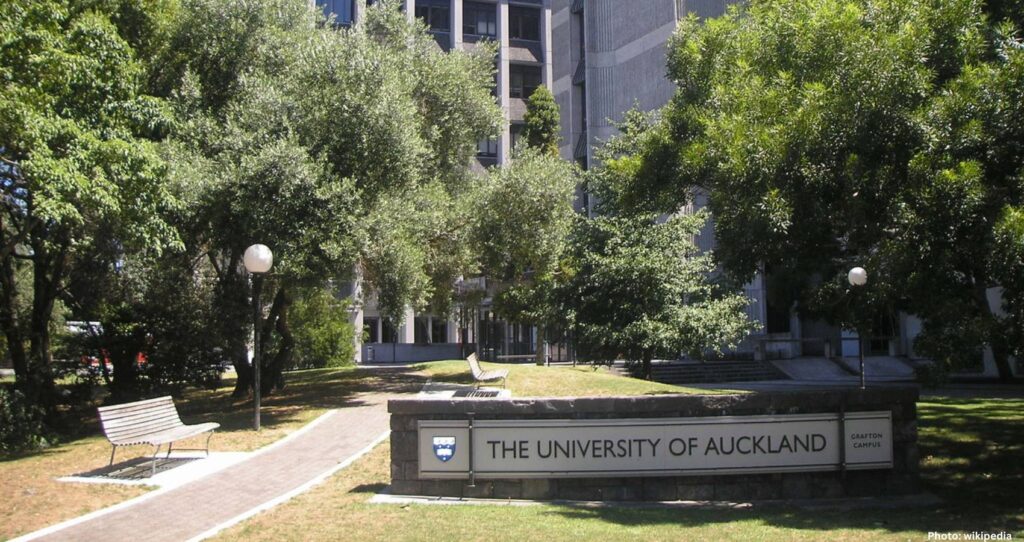 Rare Sighting of ‘Sharktopus’ Captured on Camera by Scientists