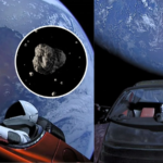 Featured & Cover Newly Discovered Asteroid Identified as Tesla Roadster in Space