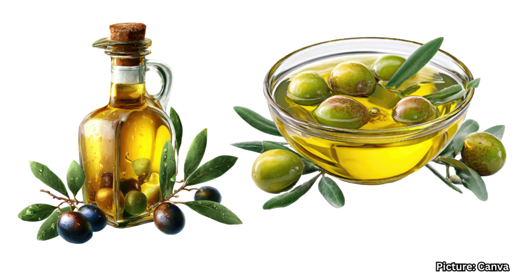 Olive Oil May Enhance Brainpower During Aging, Study Finds