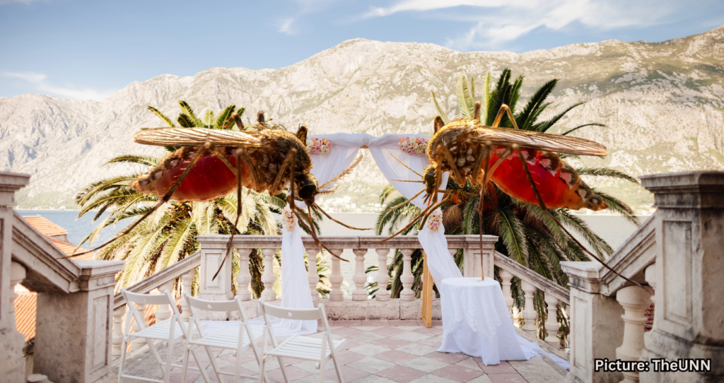 Popular Honeymoon Destination Faces Threat from Avian Malaria Outbreak