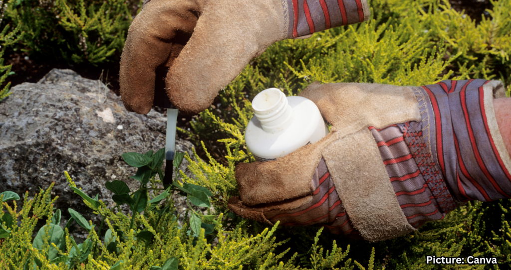 Featured & Cover Video Strategy Aids Abhishek Sharma's Recovery at T20 World Cup