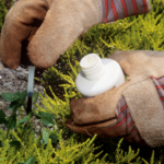 Featured & Cover Video Strategy Aids Abhishek Sharma's Recovery at T20 World Cup