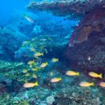 Feature and Cover Scientists Forecast Underwater Volcano Eruption Off Oregon Coast