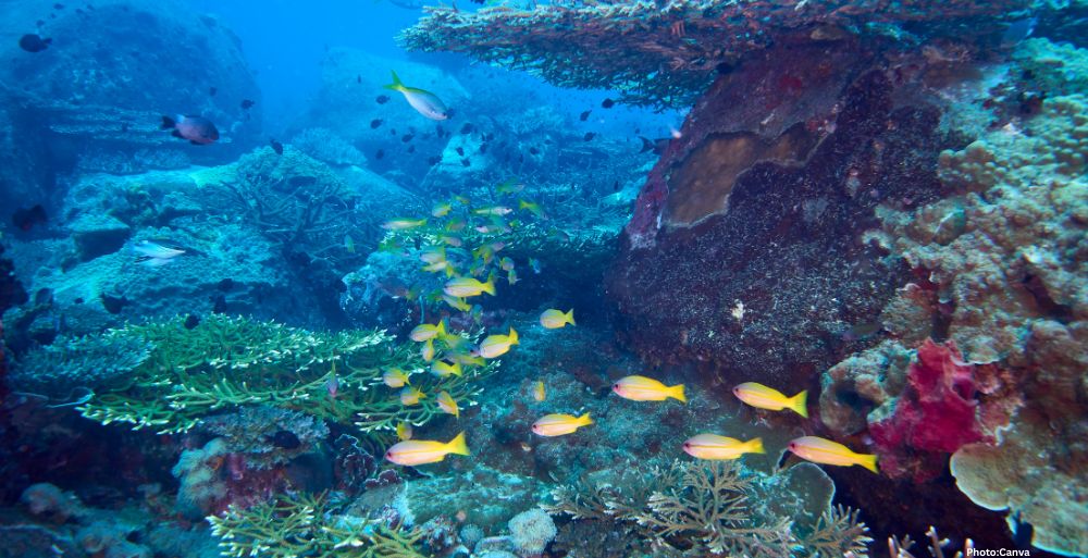 Feature and Cover Scientists Forecast Underwater Volcano Eruption Off Oregon Coast