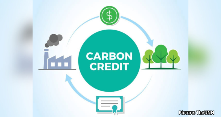 Carbon Credits: A Market-Driven Tool to Combat Climate Change