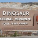 Featured & Cover Dinosaur Fossils Discovered During Parking Lot Construction at National Park