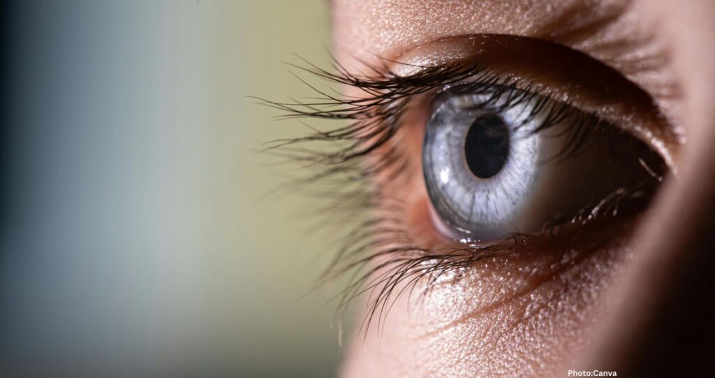 Exploring the Unconscious Depths of Vision and Consciousness in Psychology