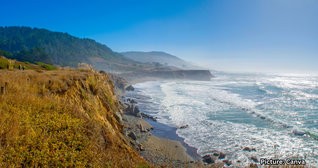 Featured & Cover Rugged Conversations Exploring Mendocino's Unique Landscape and Culture
