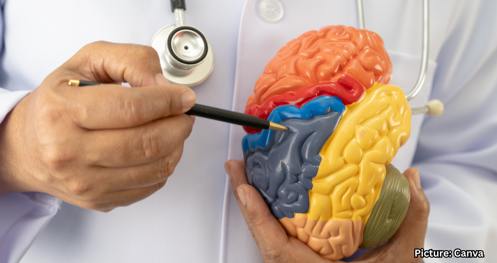 Featured & Cover Scientists Discover Factor Influencing Brain Health and Alzheimer's Risk (1)