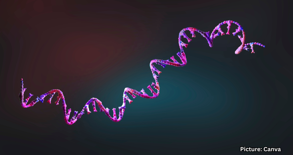 Featured & Cover Scientists Identify Gene Associated with Development of Spoken Language