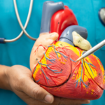 Featured & Cover The Nightly Guard Cardiologist Discusses Heart Health After 7 P M