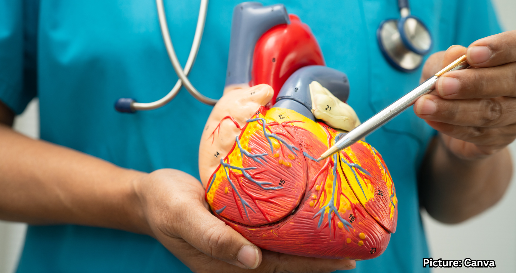 Featured & Cover The Nightly Guard Cardiologist Discusses Heart Health After 7 P M