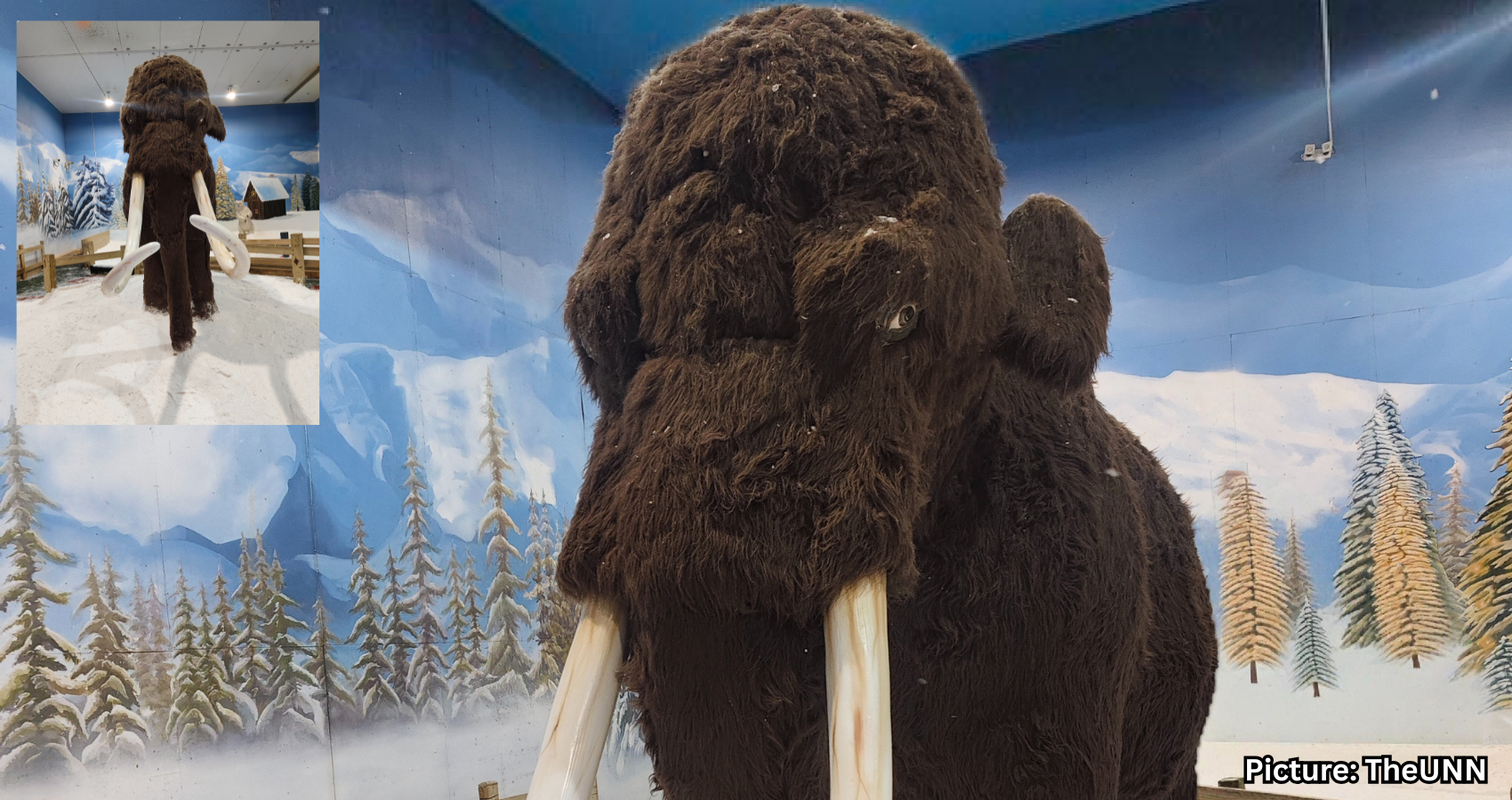 Featured & Cover Well Preserved Baby Mammoth from Ice Age Dissected by Scientists