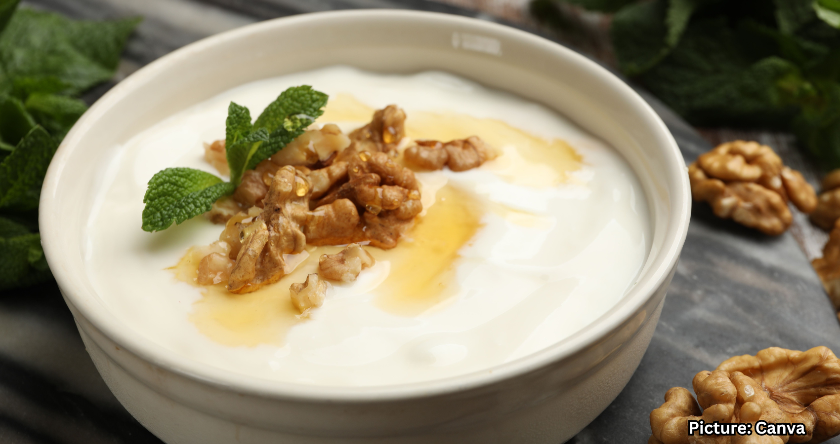 Featured & Cover Cottage Cheese vs Greek Yogurt Nutritional Insights and Health Implications