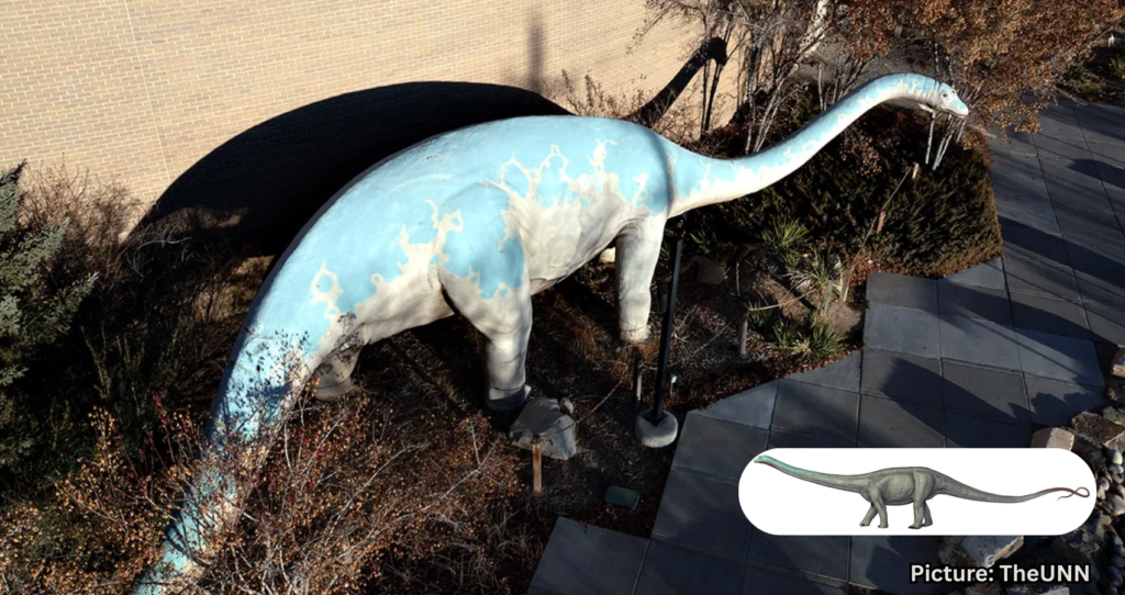Dinosaur Fossils Discovered During Construction at National Park