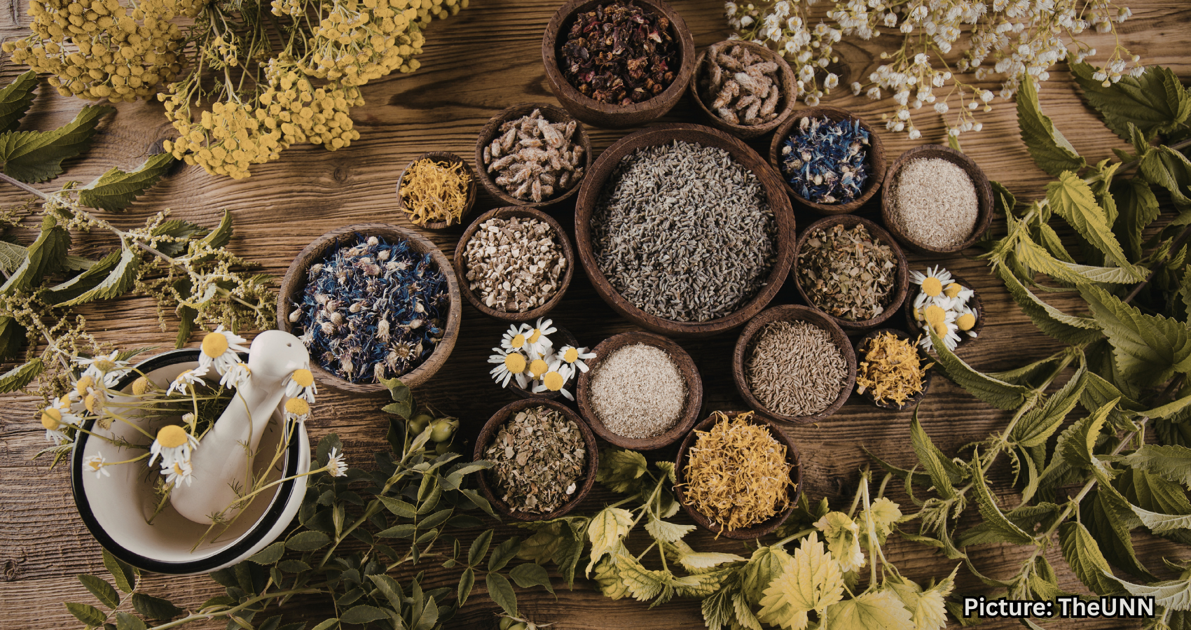 Featured & Cover Experts Caution Against Risks of Popular Natural Health Remedies in India